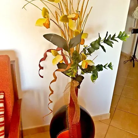 Vista Mar Appartement